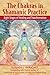 The Chakras in Shamanic Practice: Eight Stages of Healing and Transformation