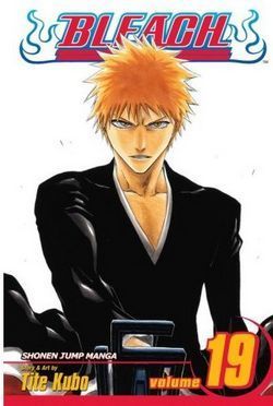 Bleach, Volume 19