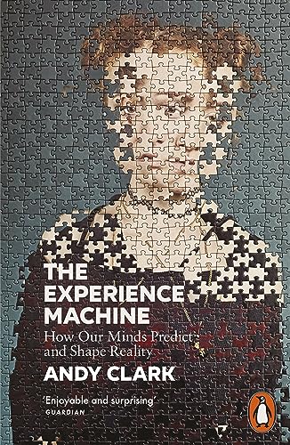 The Experience Machine: How Our Minds Predict and Shape Reality
