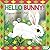 Hello Bunny!