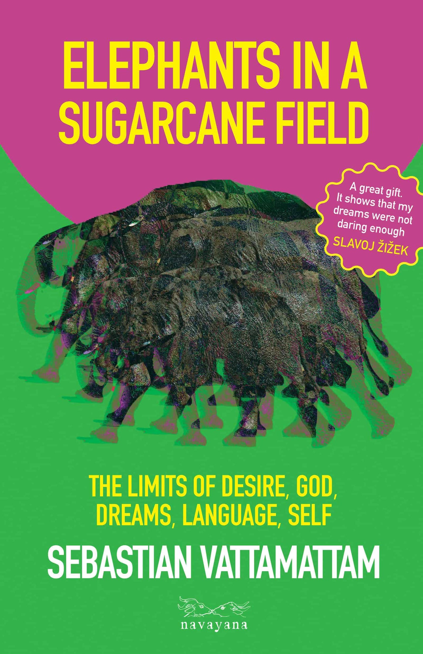 Elephants in a Sugarcane Field: The Limits of Desire, God, Dreams, Language, Self