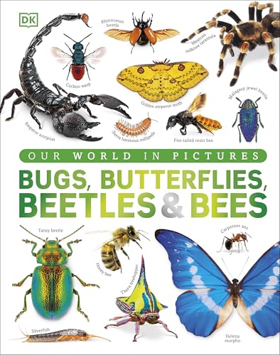 Our World in Pictures Bugs, Butterflies, Beetles and Bees