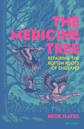 The Medicine Tree by Nick Hayes