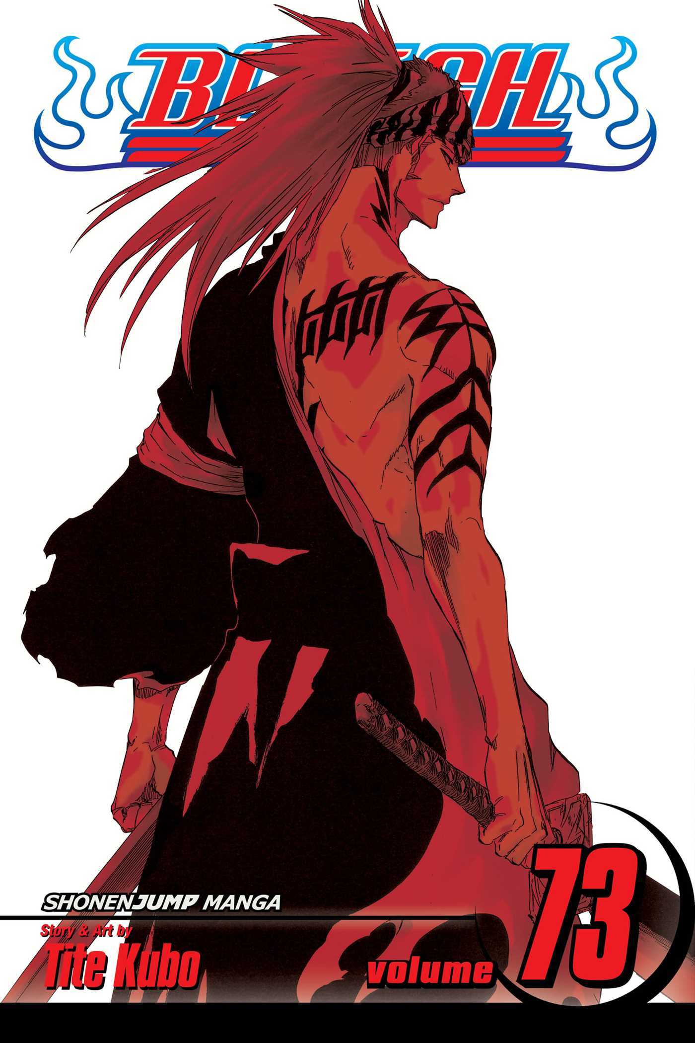 Bleach, Volume 73