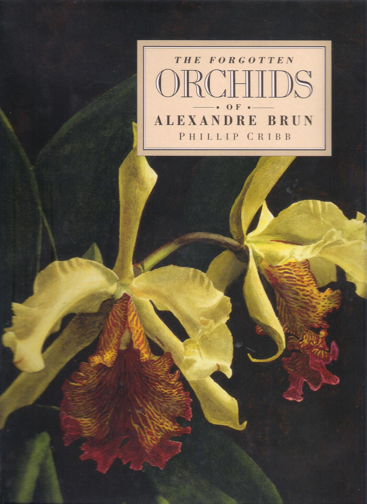 The Forgotten Orchids of Alexandre Brun