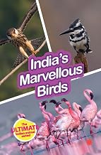 Wild About India: India's Marvelous Birds