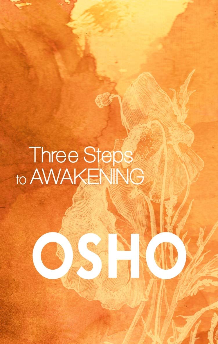 MACMILLAN Three Steps to Awakening