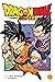 Dragon Ball Super, Vol. 12: Meru's True Identity
