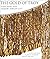 The Gold of Troy: Searching for Homer's Fabled City
