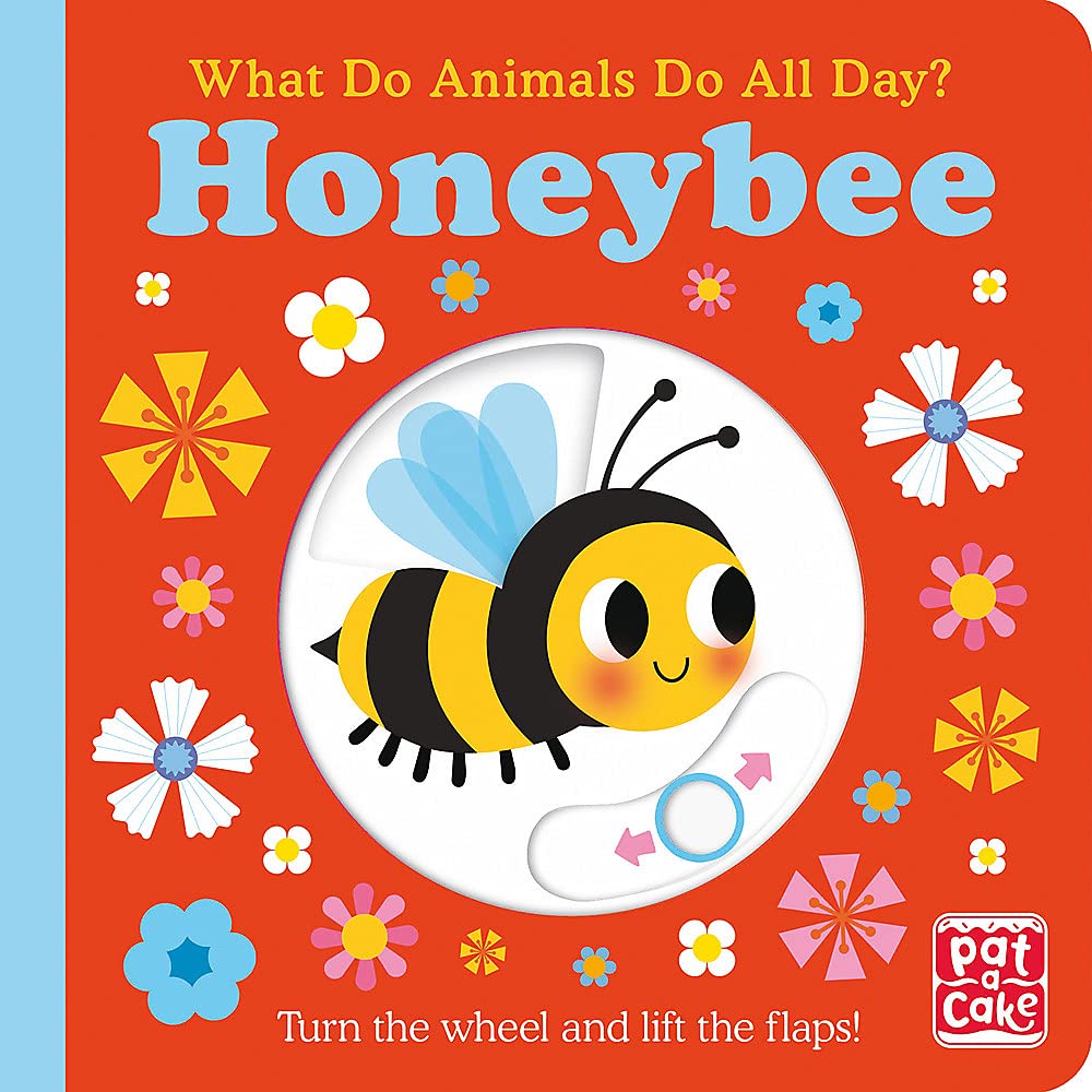 Honeybee: Lift the Flap Board Book by Fhiona Pat-A-Cake