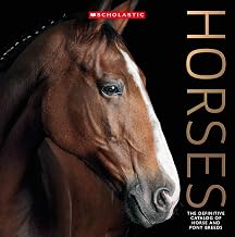 Horses by Scholastic