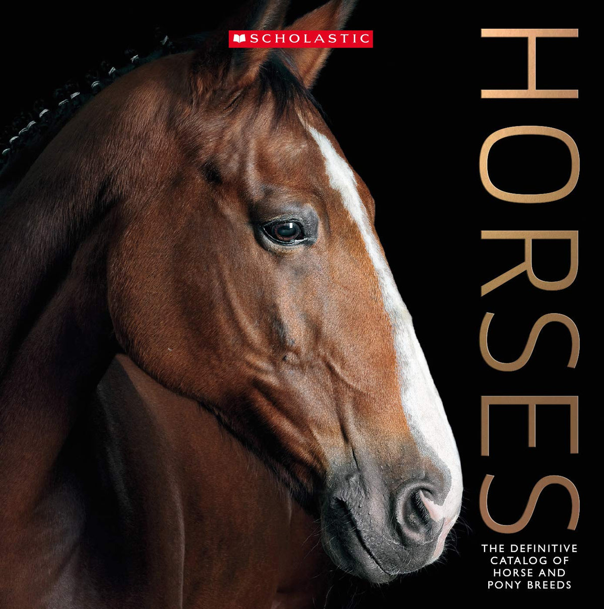 Horses by Scholastic