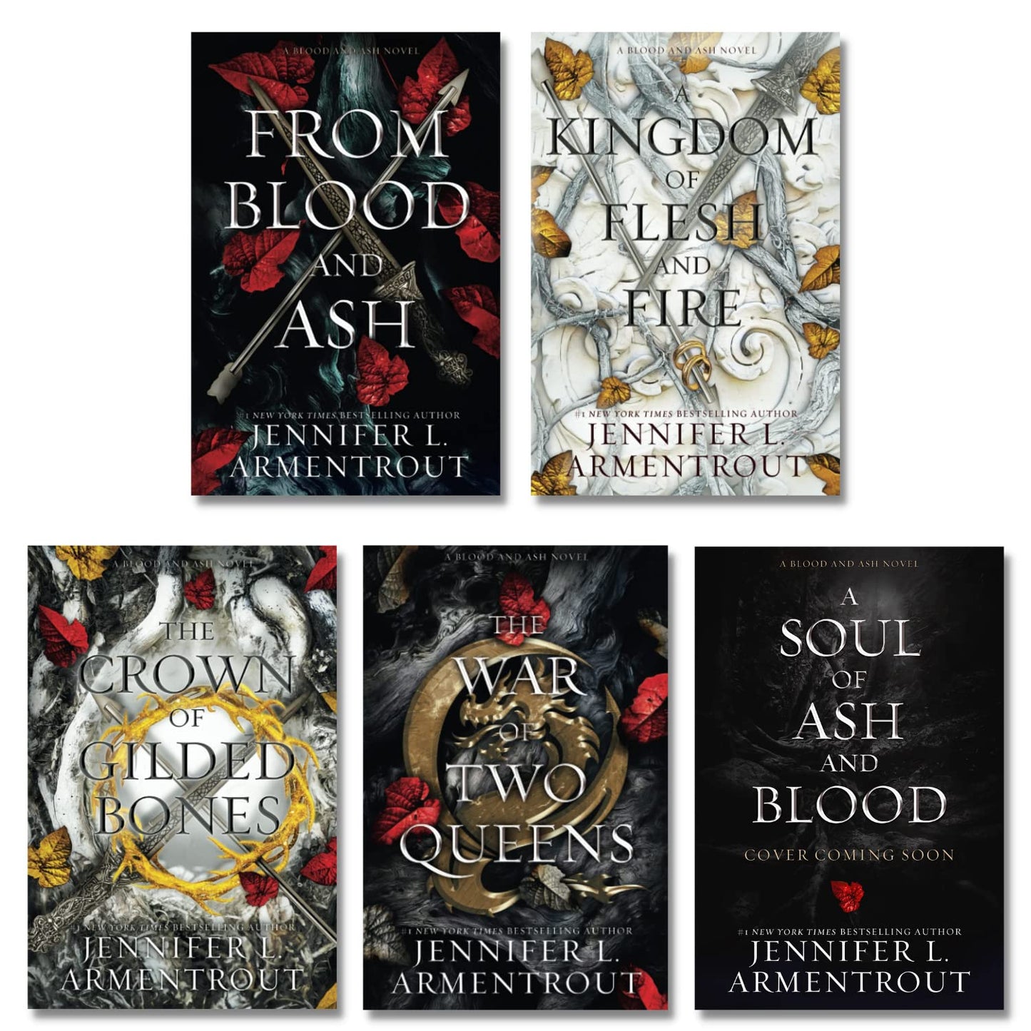 Combo Blood and Ash Complete Series 5 Book