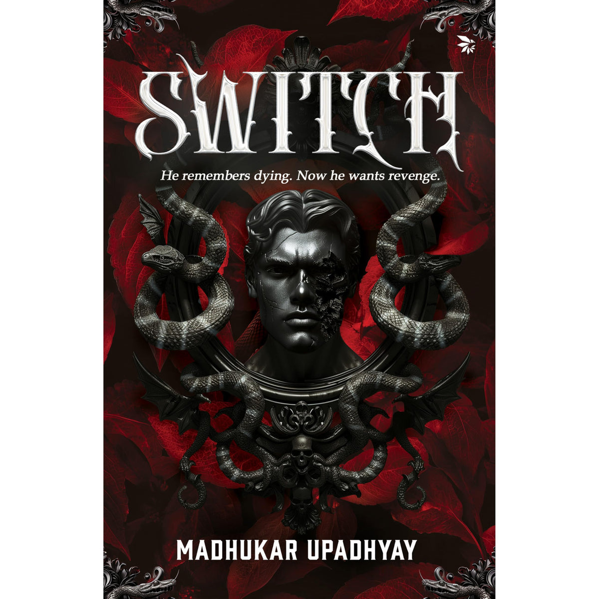Switch by Madhukar Upadhyay