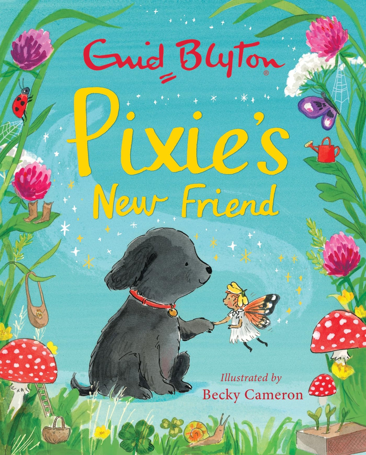 Pixie'S New Friend by Enid Blyton