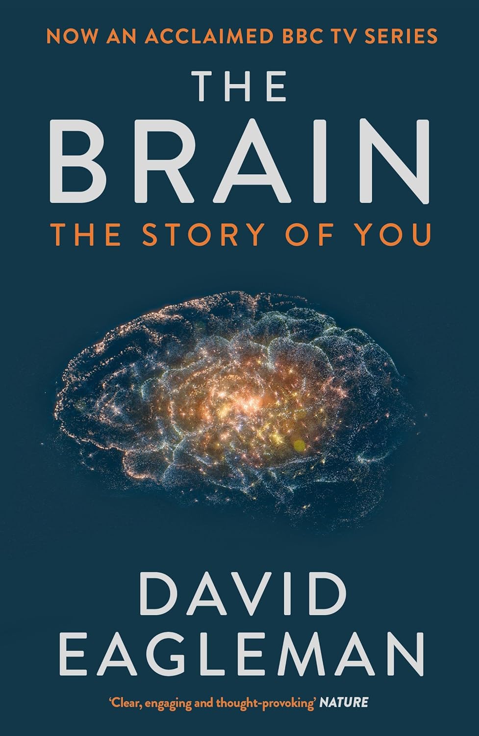 The Brain by David Eagleman