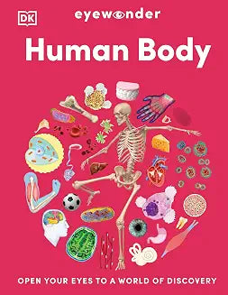 Eyewonder Human Body�: Dk Essentials by Dk