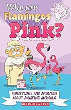 WHY ARE FLAMINGOS PINK?