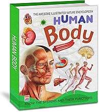 Huamn Body