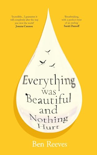 Everything was Beautiful and Nothing Hurt