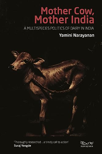 Mother Cow, Mother India: A Multispecies Politics of Dairy in India