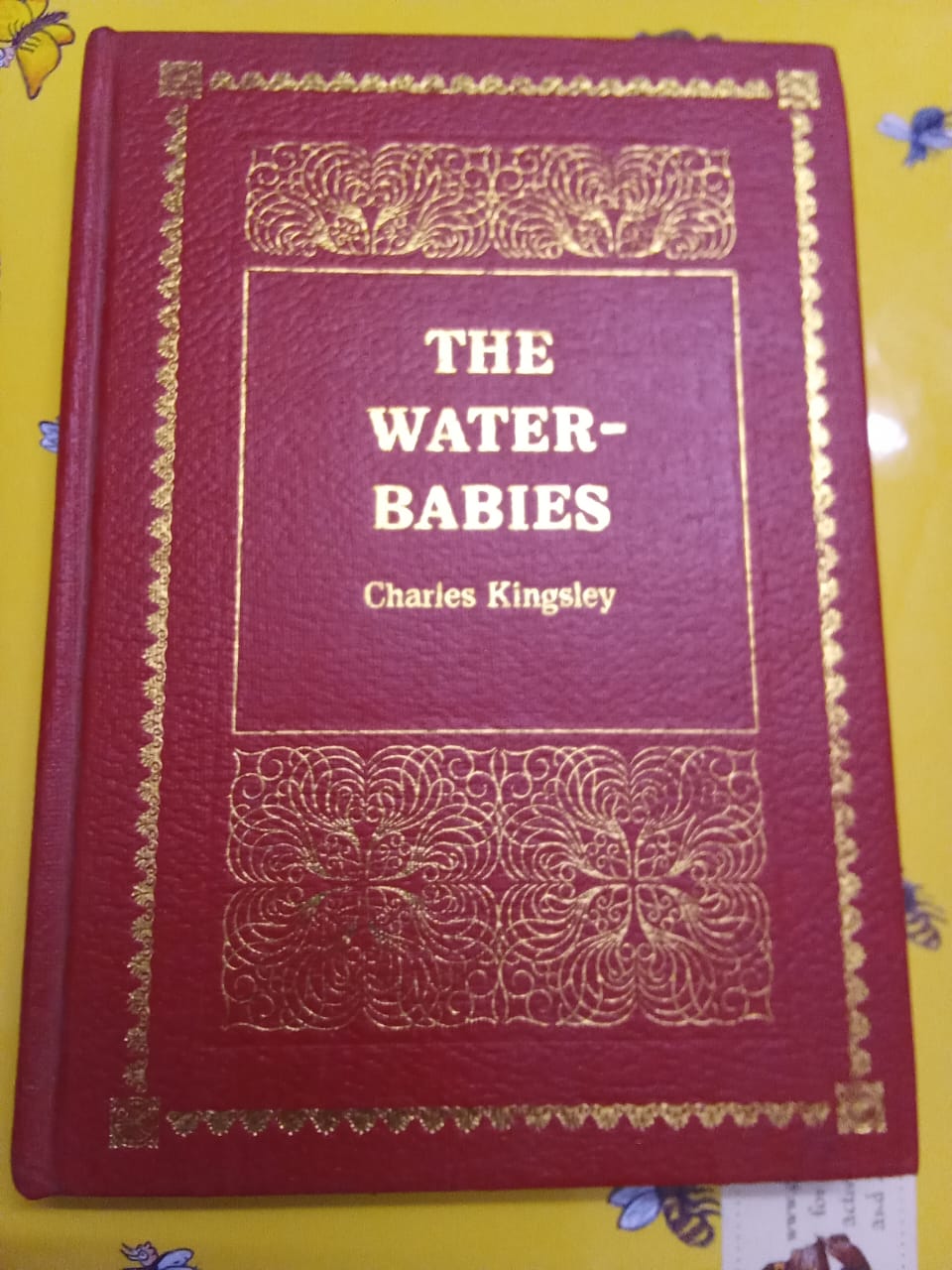 THE WATER BABIES-Charles Kingsley HB