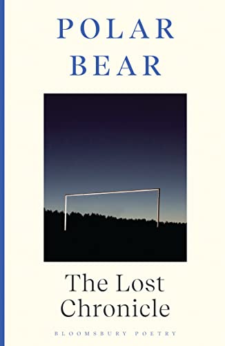 The Lost Chronicle: 2004-2009 by Polarbear