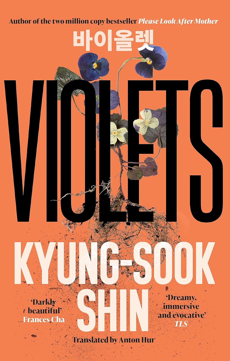 Violets by Kyung-Sook Shin