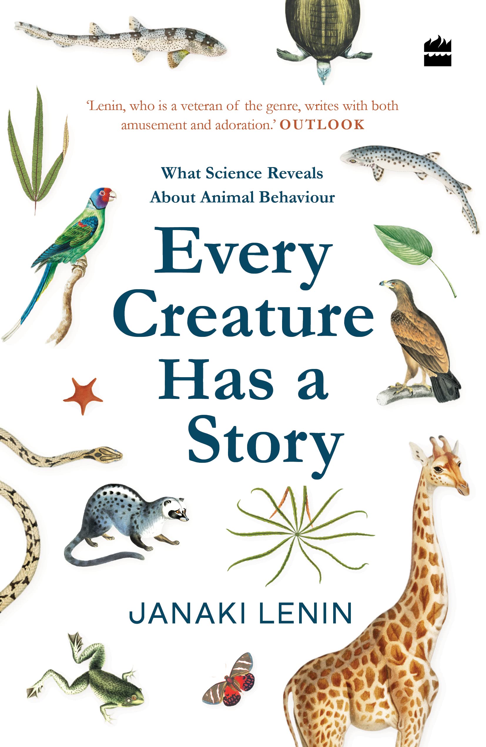 Every Creature Has a Story What Science Reveals About Animal Behaviour