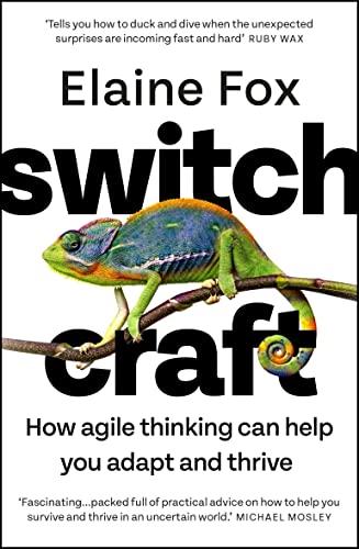 Hodder Switchcraft The Ultimate Toolkit for Boosting Your Mental Agility. Fascinating - MICHAEL MOSLEY.