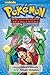 Pokémon Adventures: Ruby & Sapphire, Vol. 19