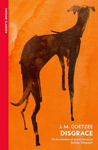 Disgrace by J M Coetzee