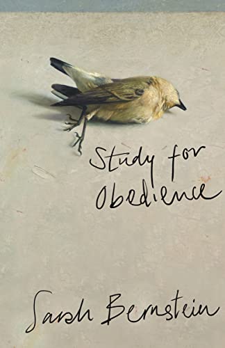 Study for Obedience by Sarah Bernstein