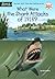 What Were the Shark Attacks of 1916?