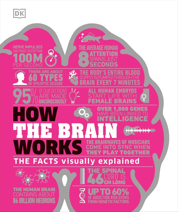 How Brain Works by Dk