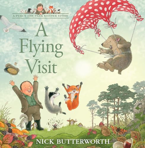 A Flying Visit: A funny illustrated picture book for children from the creator of One Snowy Night