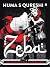 Zeba: An Accidental Superhero