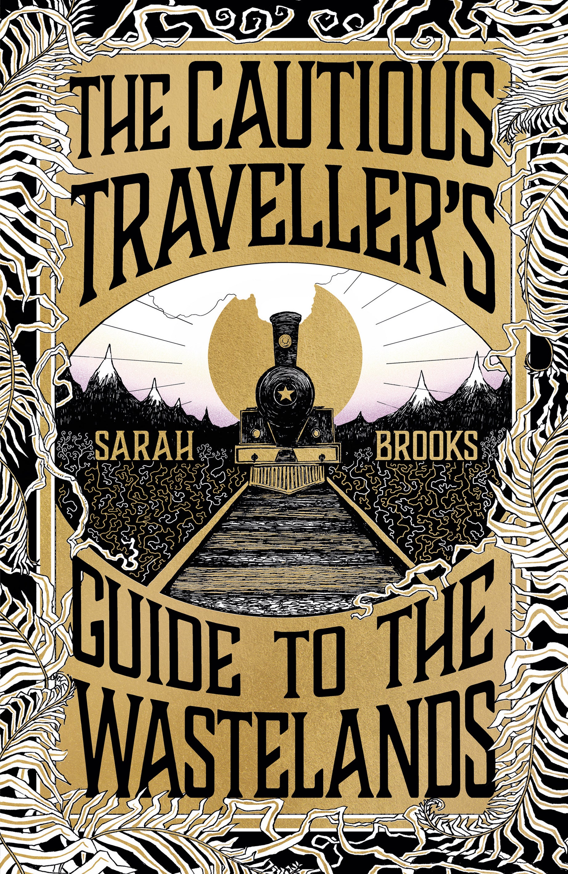 The Cautious Traveller's Guide to the Wastelands by Sarah Brooks