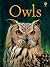 Owls