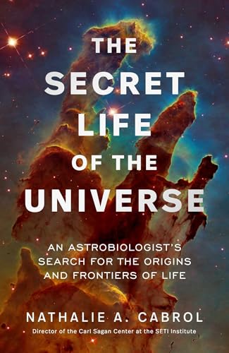 The Secret Life of the Universe