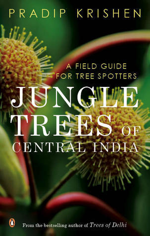 Jungle Trees of Central India