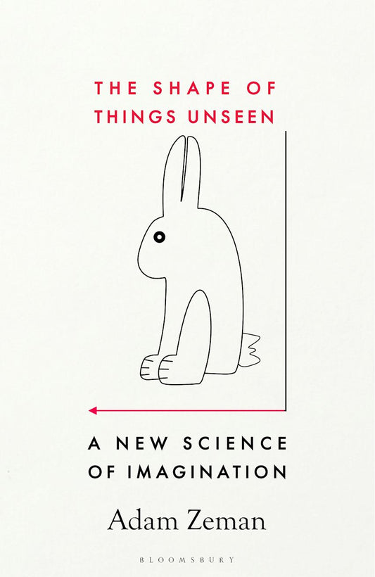 The Shape of Things Unseen: A New Science of Imagination