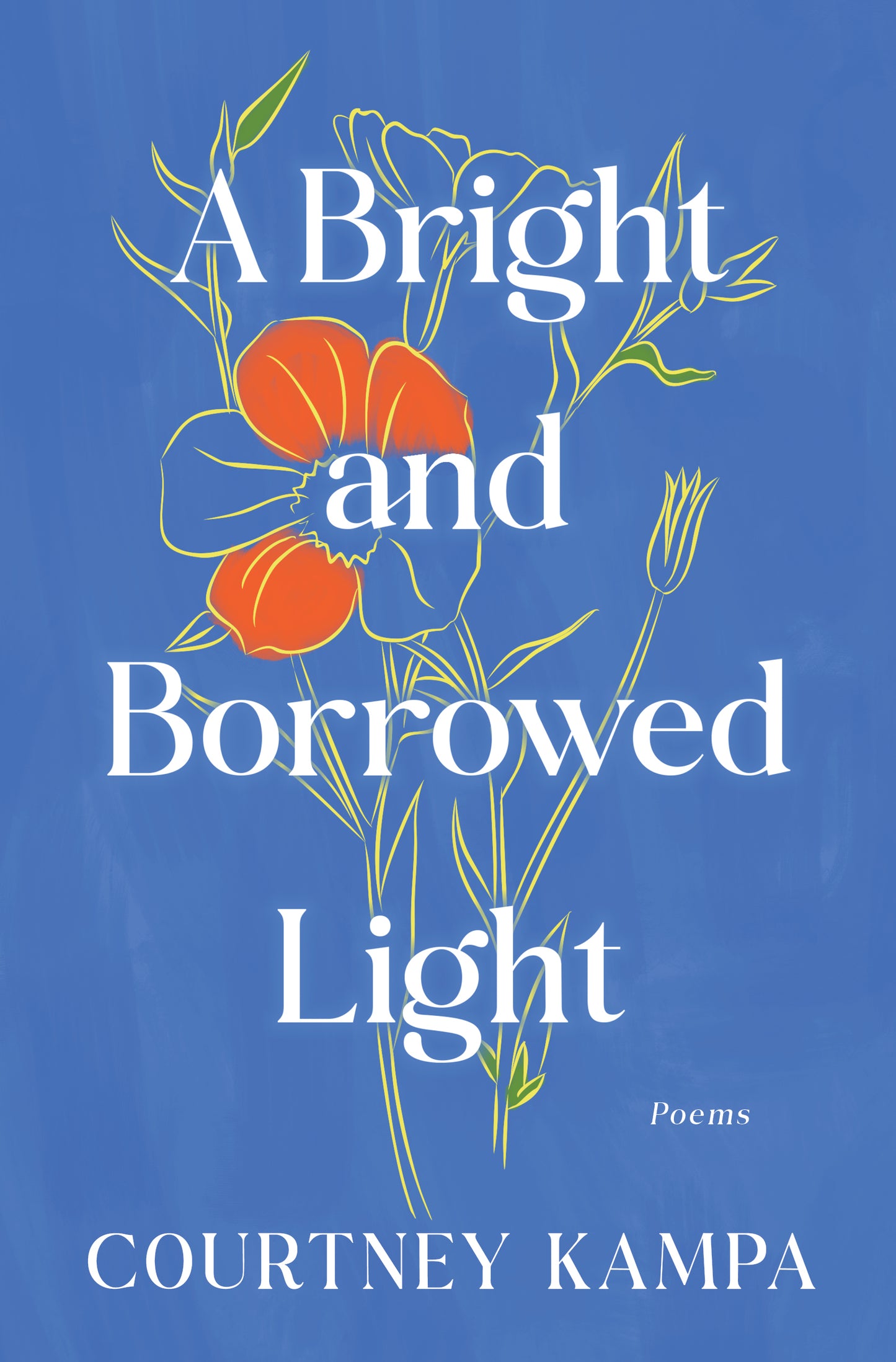 A Bright and Borrowed Light by Courtney Kampa