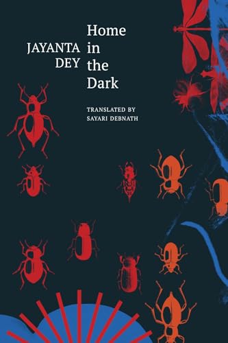 Home in the Dark: Selected Stories by Jayanta Dey