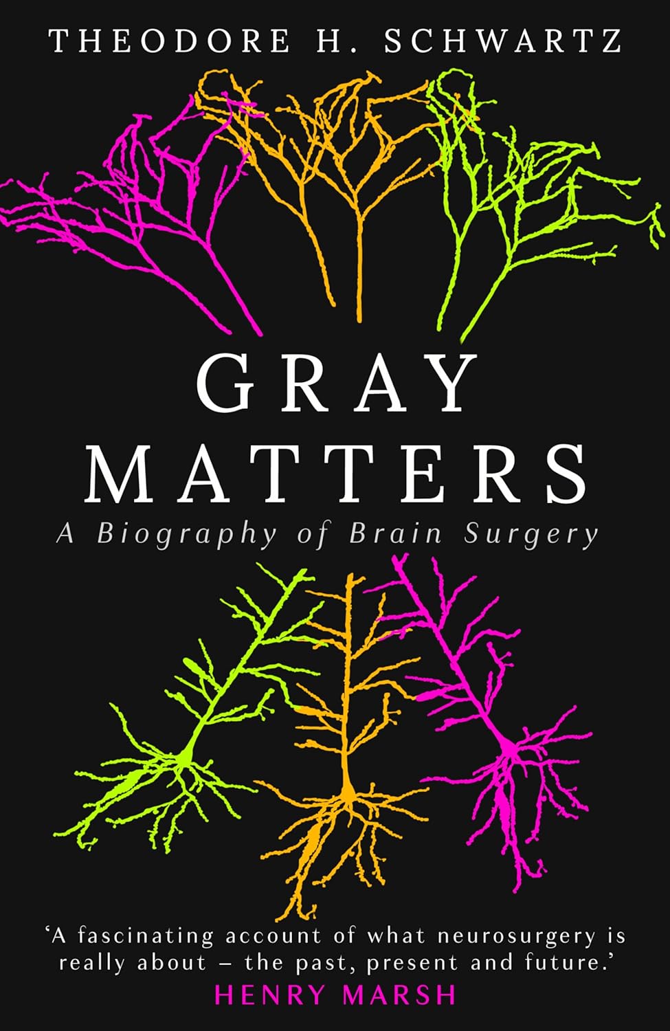 Gray Matters: A Biography of Brain Surgery