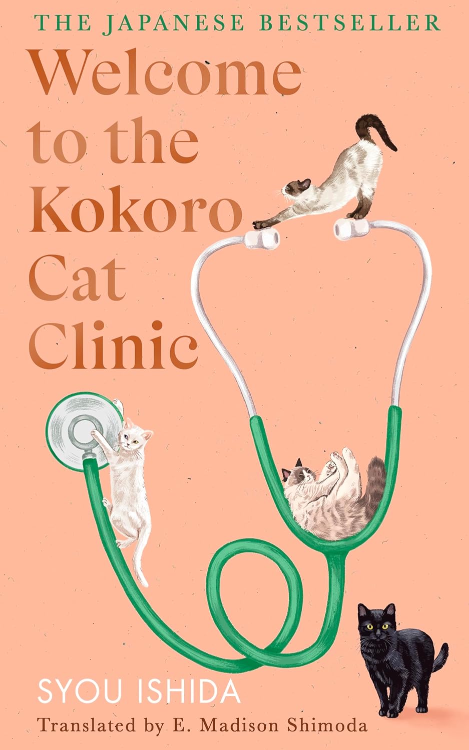 Welcome to the Kokoro Cat Clinic by Syou Ishida
