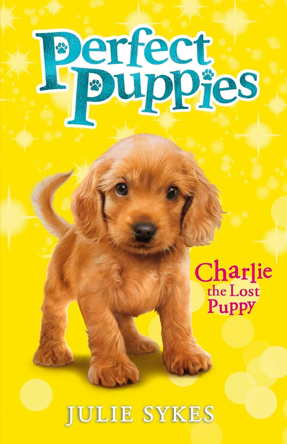 Charlie the Lost Puppy by Julie Sykes