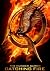 Catching Fire