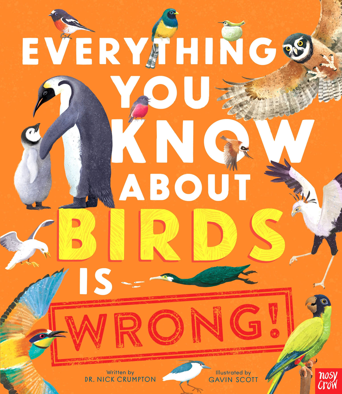 Everything You Know About Birds Is Wrong