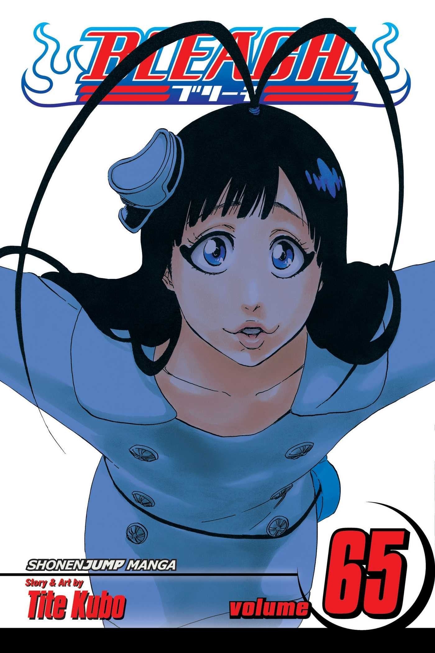 Bleach, Volume 65